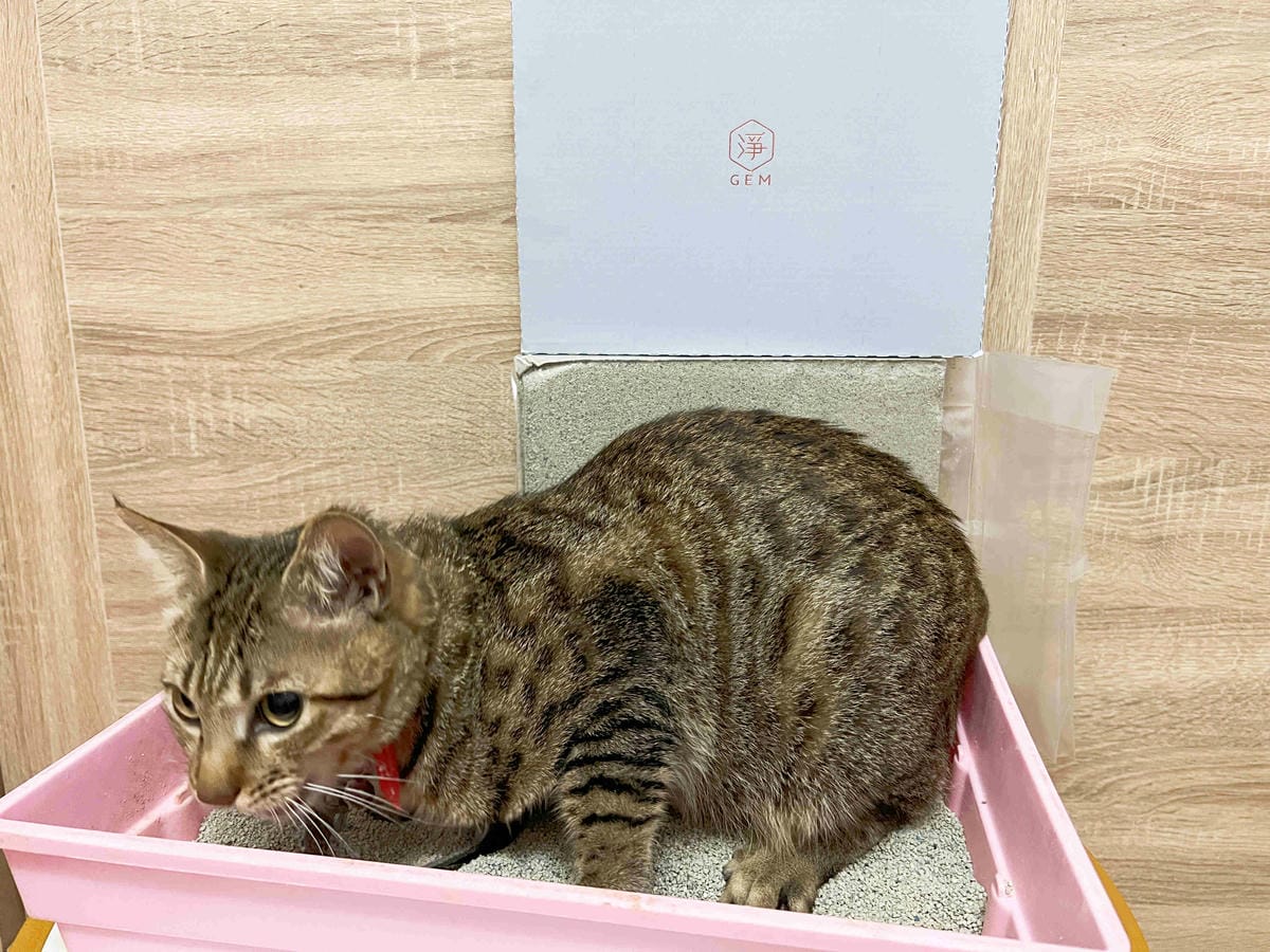 Gem‧淨天然無塵鈉基硅膠礦砂 (51).jpg Gem‧淨天然無塵鈉基硅膠礦砂 (51).jpg