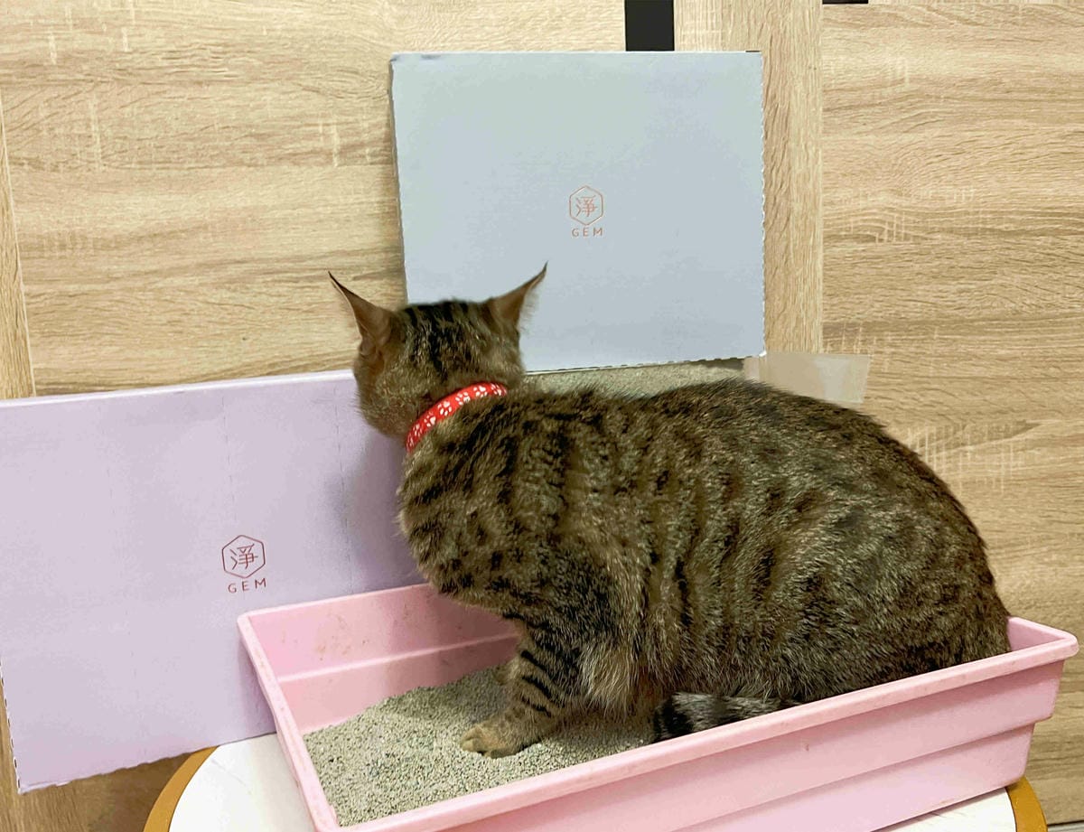 Gem‧淨天然無塵鈉基硅膠礦砂 (45).jpg Gem‧淨天然無塵鈉基硅膠礦砂 (45).jpg