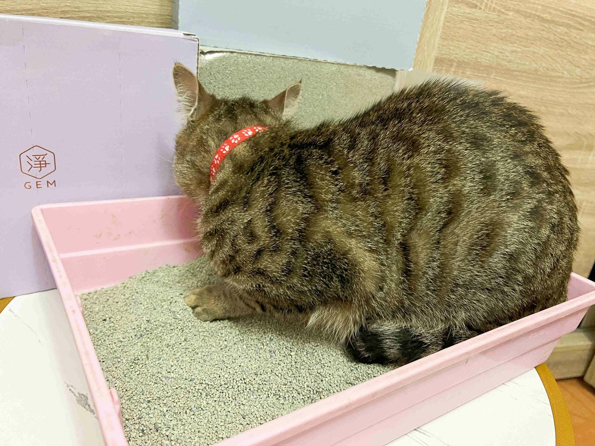 Gem‧淨天然無塵鈉基硅膠礦砂 (46).jpg Gem‧淨天然無塵鈉基硅膠礦砂 (46).jpg