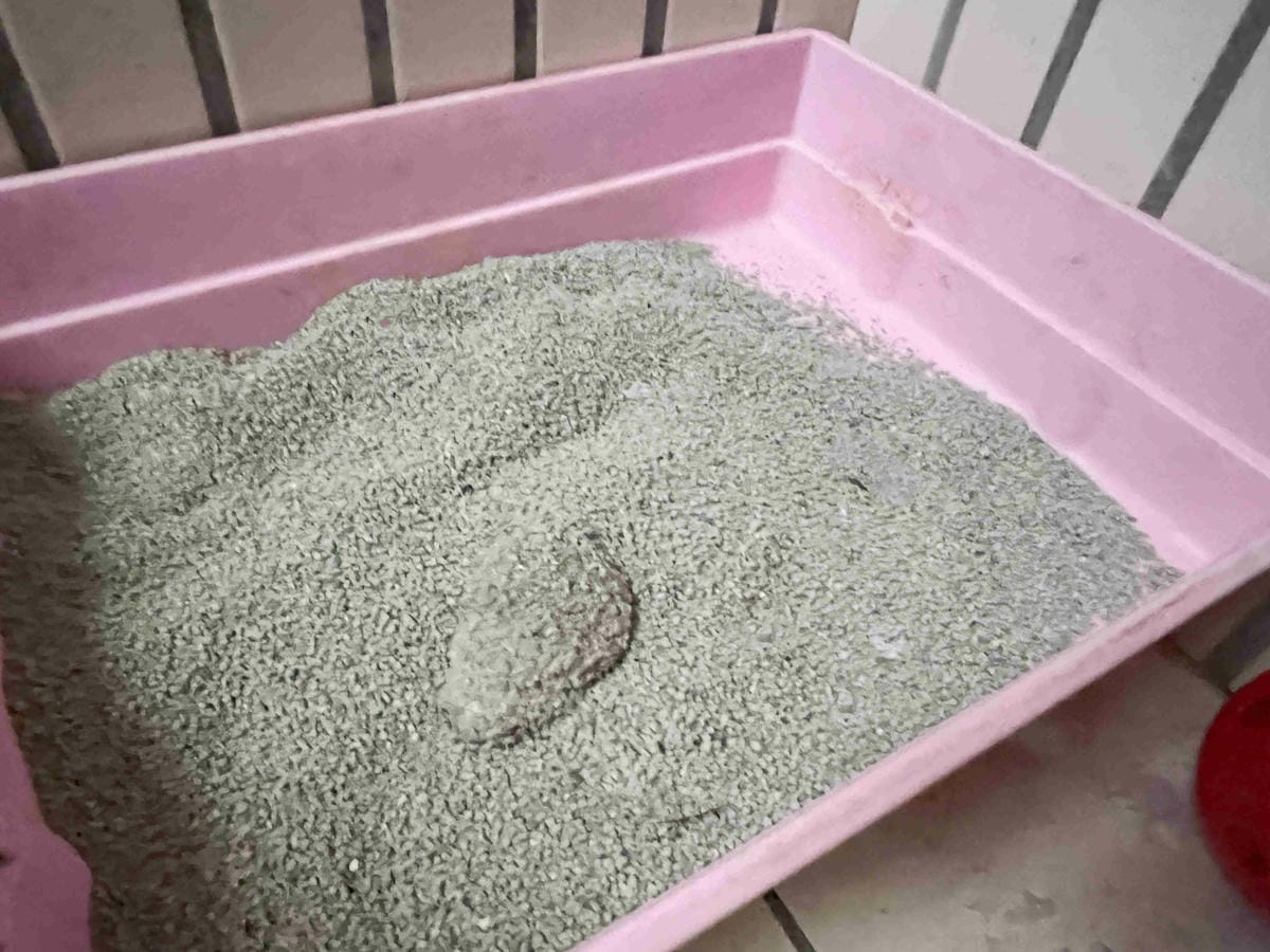 Gem‧淨天然無塵鈉基硅膠礦砂 (56).jpg Gem‧淨天然無塵鈉基硅膠礦砂 (56).jpg