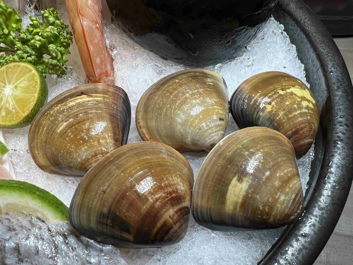 論石間台中中科 (34).jpg 論石間台中中科 (34).jpg