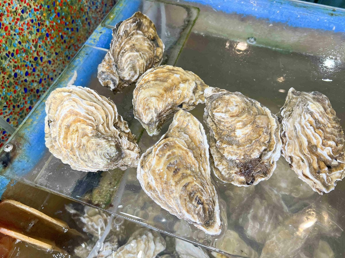 望海亭 (41).jpg 望海亭 (41).jpg