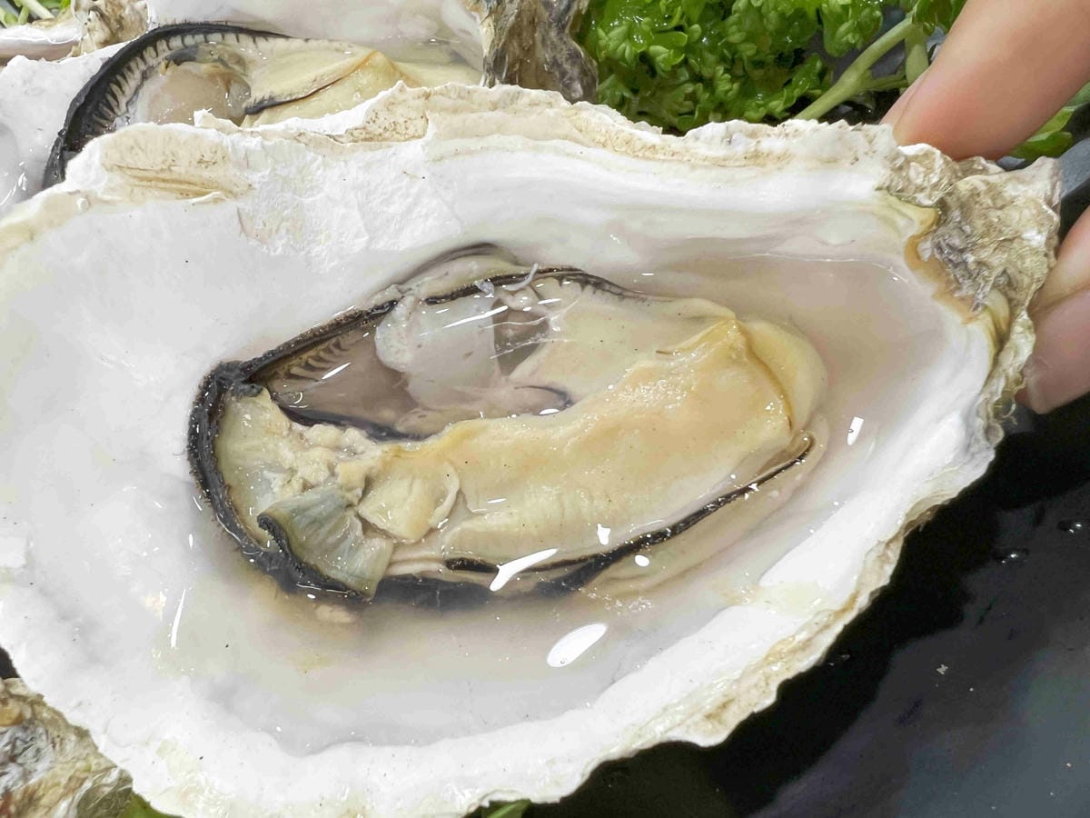 望海亭 (62).jpg 望海亭 (62).jpg