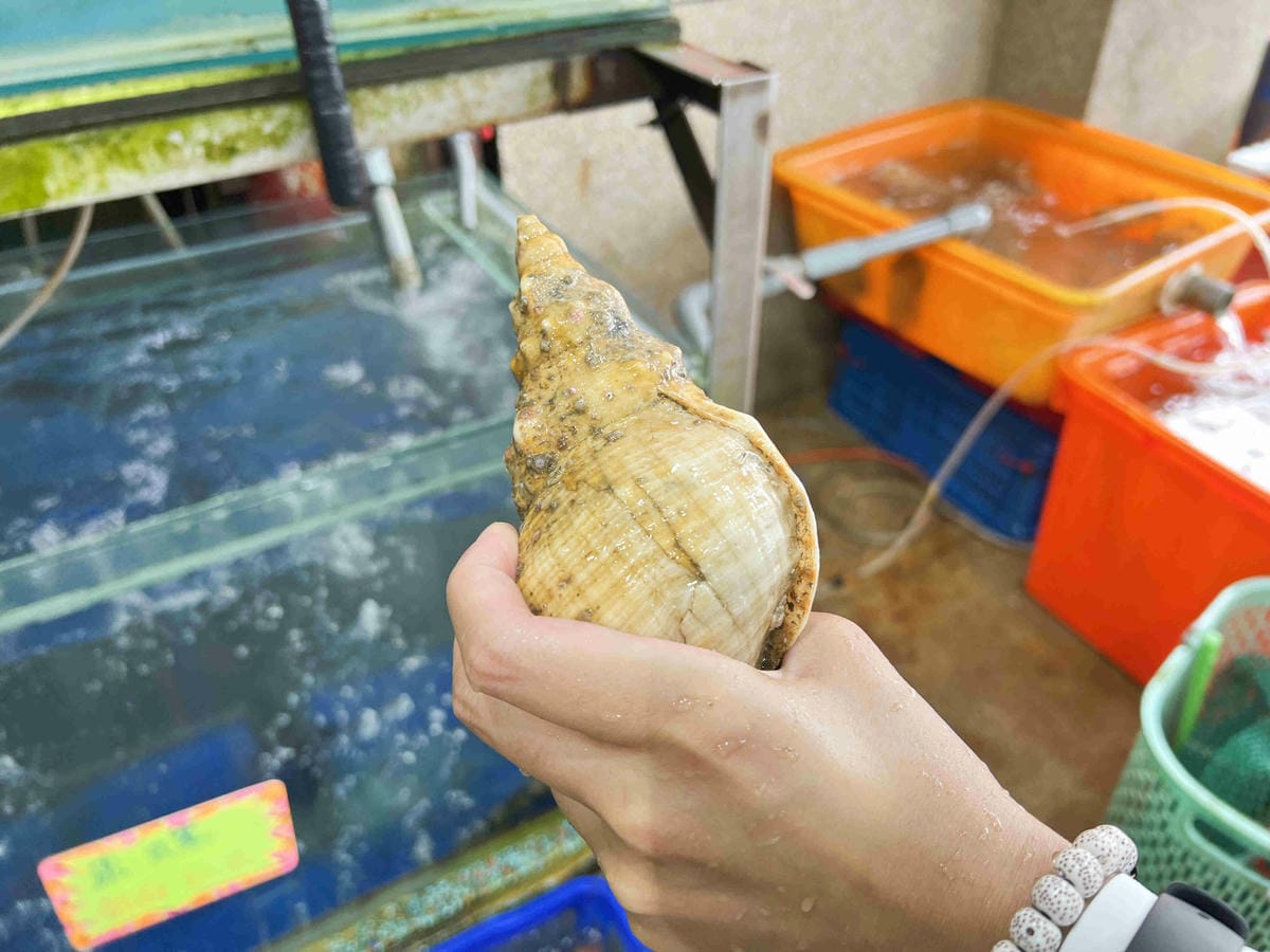 望海亭 (35).jpg 望海亭 (35).jpg