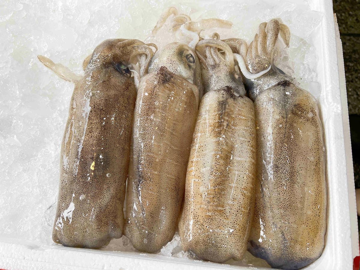 望海亭 (38).jpg 望海亭 (38).jpg