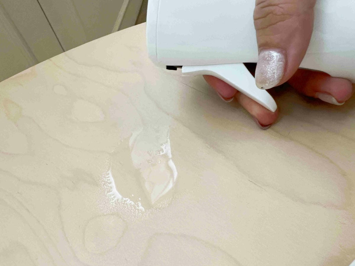 LEMON ME 澳洲檸檬桃金孃 (34).jpg LEMON ME 澳洲檸檬桃金孃 (34).jpg