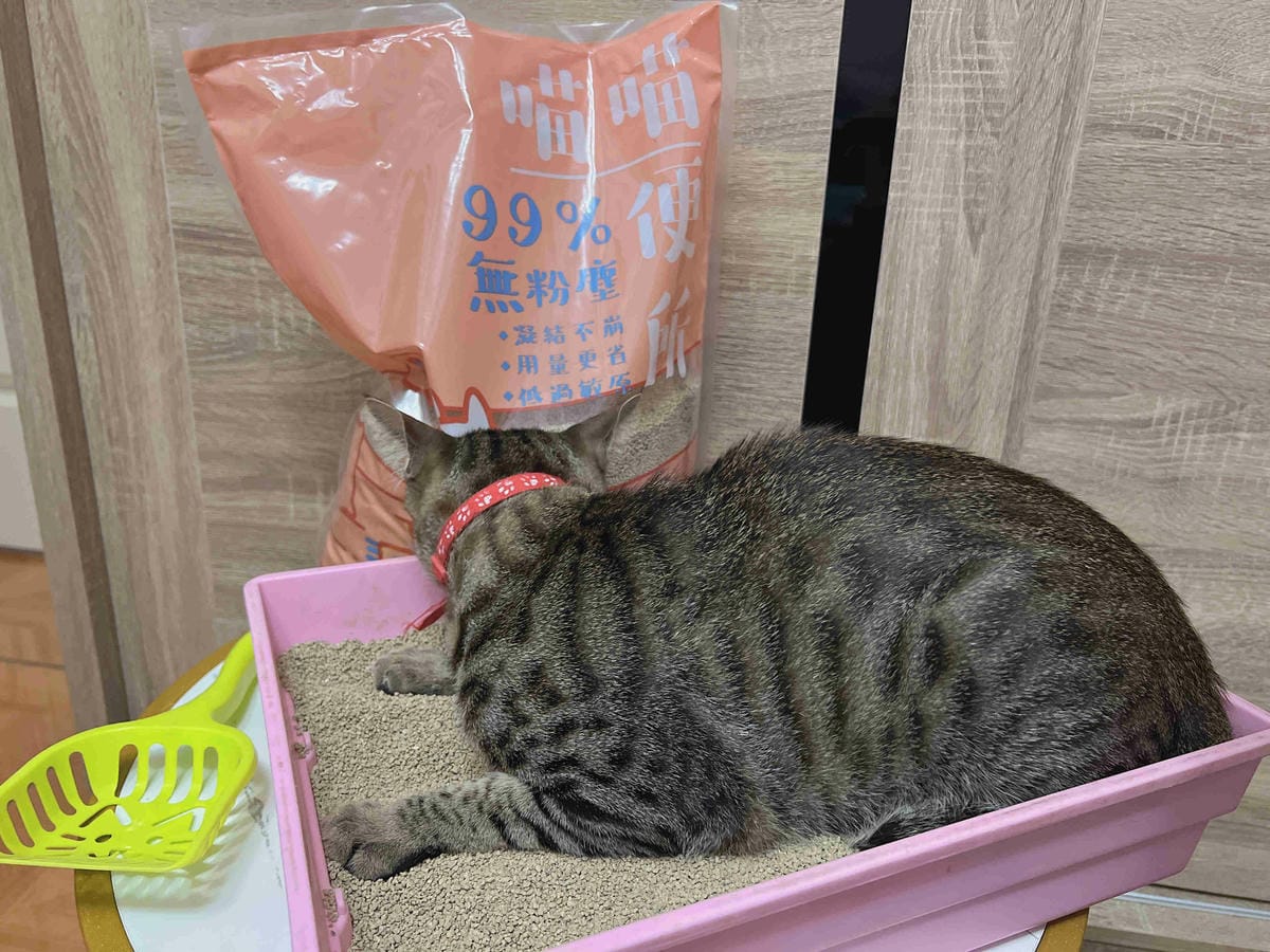 喵喵便所 (27).jpg 喵喵便所 (27).jpg