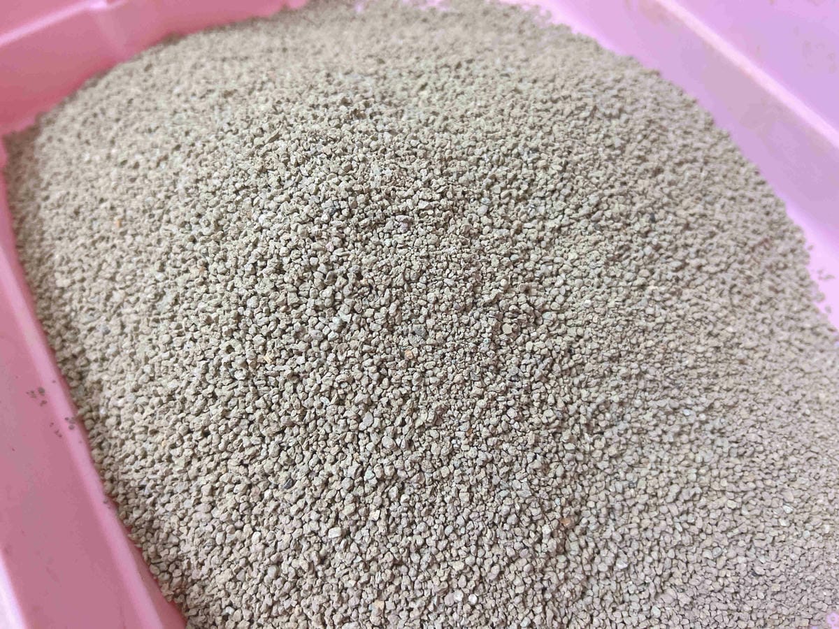 喵喵便所 (10).jpg 喵喵便所 (10).jpg