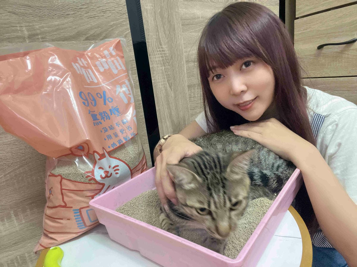 喵喵便所 (22).jpg 喵喵便所 (22).jpg