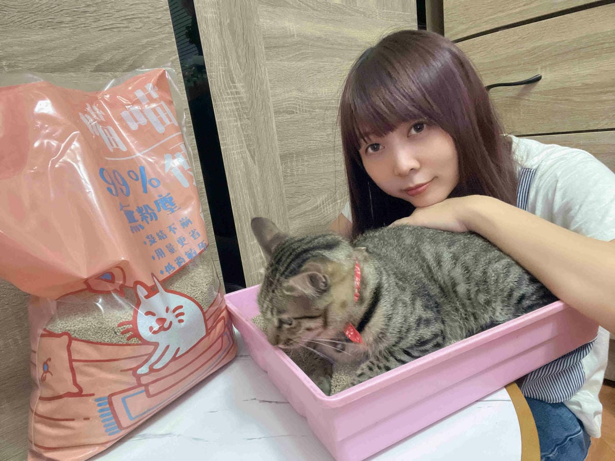 喵喵便所 (23).jpg 喵喵便所 (23).jpg