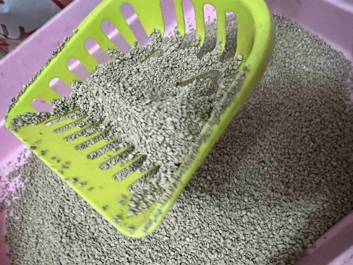 喵喵便所 (14).jpg 喵喵便所 (14).jpg