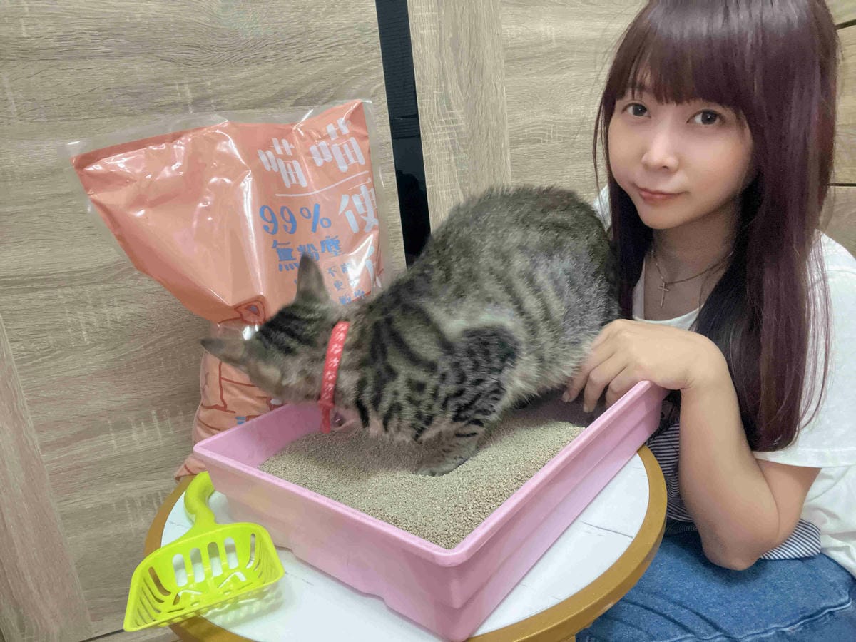 喵喵便所 (20).jpg 喵喵便所 (20).jpg