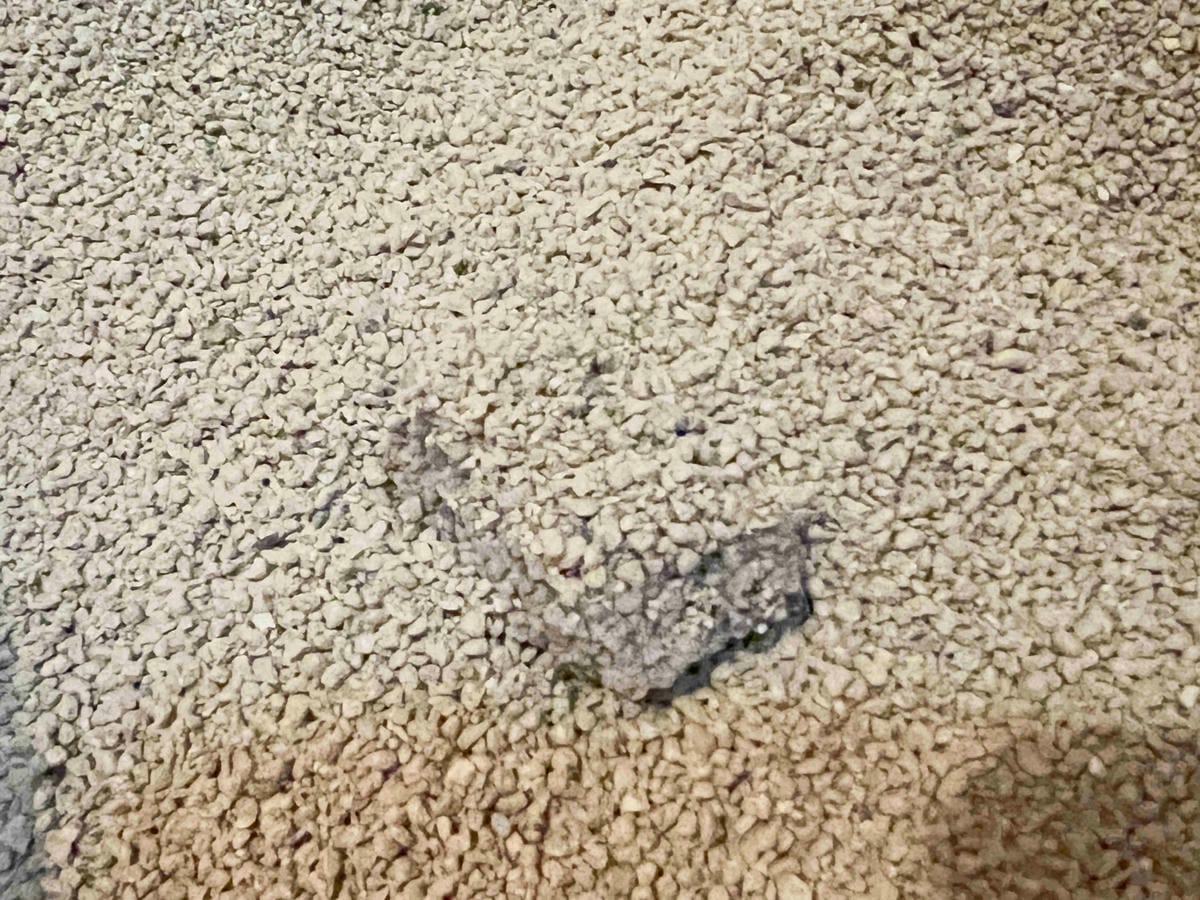 喵喵便所 (33).jpg 喵喵便所 (33).jpg