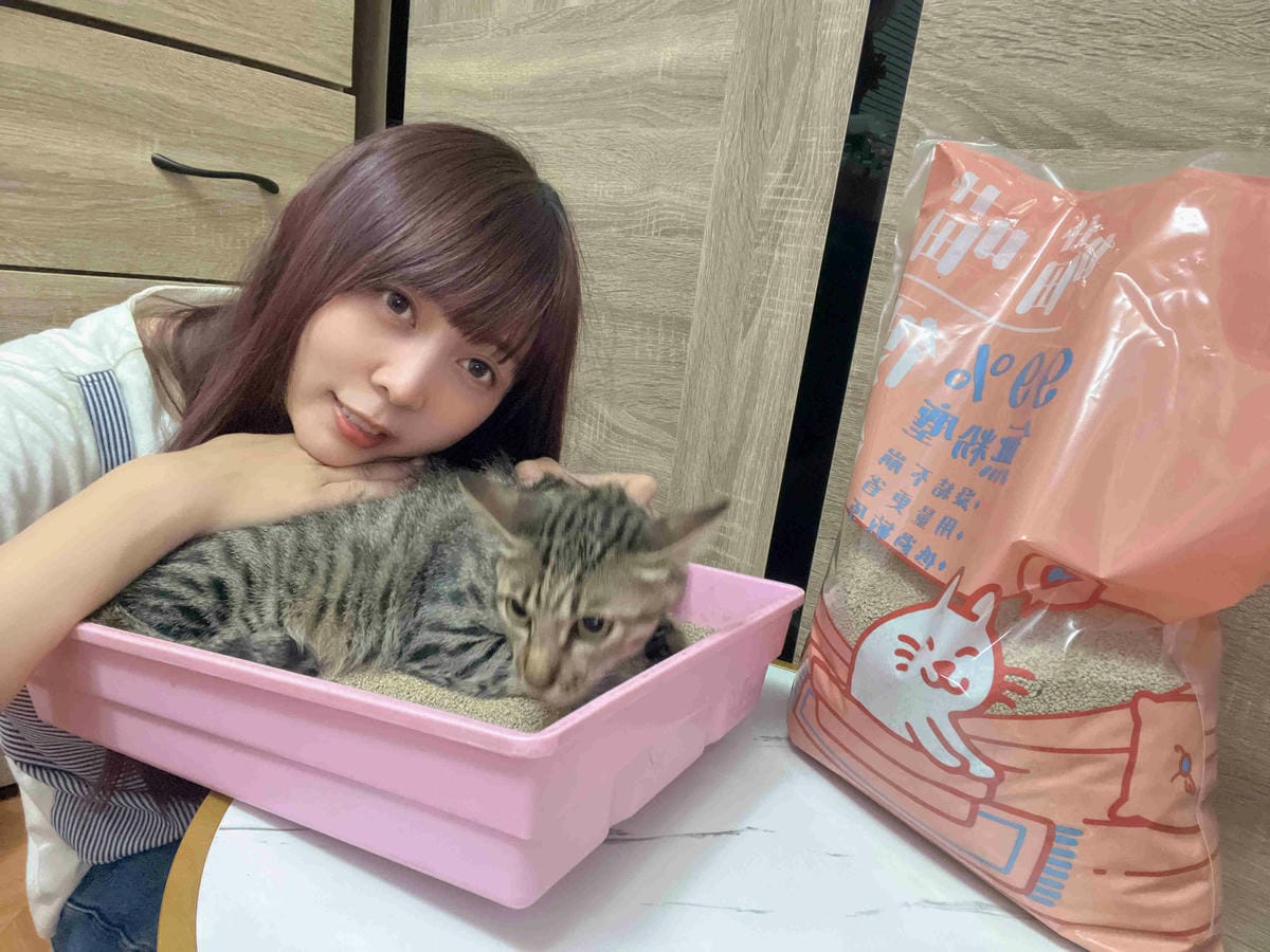 喵喵便所 (26).jpg 喵喵便所 (26).jpg