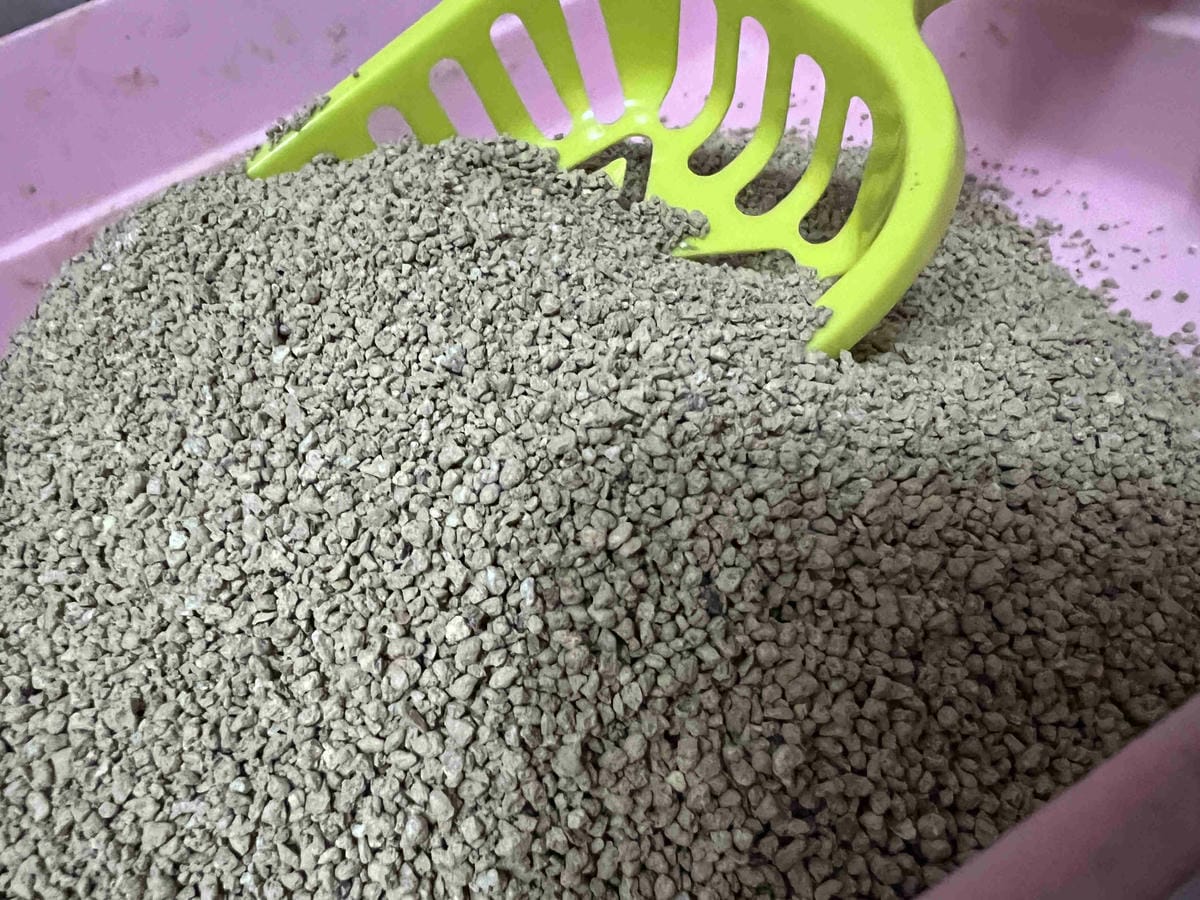 喵喵便所 (13).jpg 喵喵便所 (13).jpg