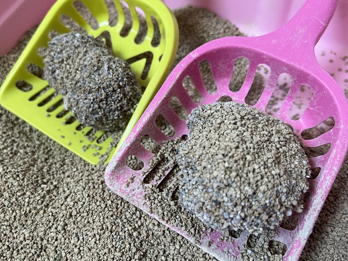 /tmp/phptKoCKR /tmp/phptKoCKR