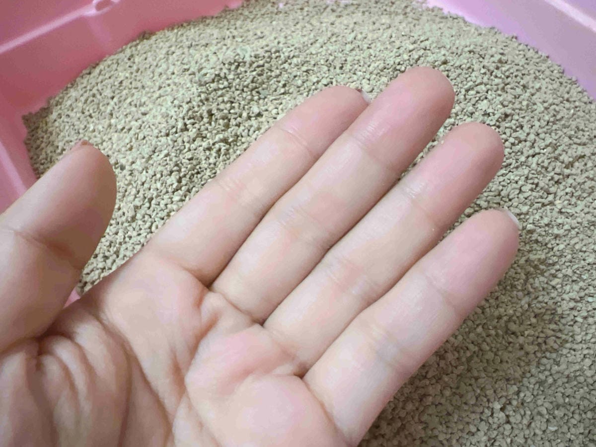 喵喵便所 (12).jpg 喵喵便所 (12).jpg