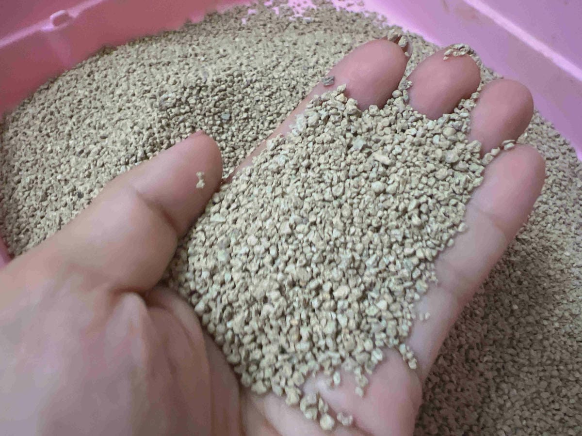 喵喵便所 (11).jpg 喵喵便所 (11).jpg