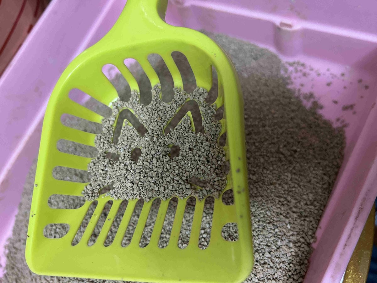 喵喵便所 (15).jpg 喵喵便所 (15).jpg