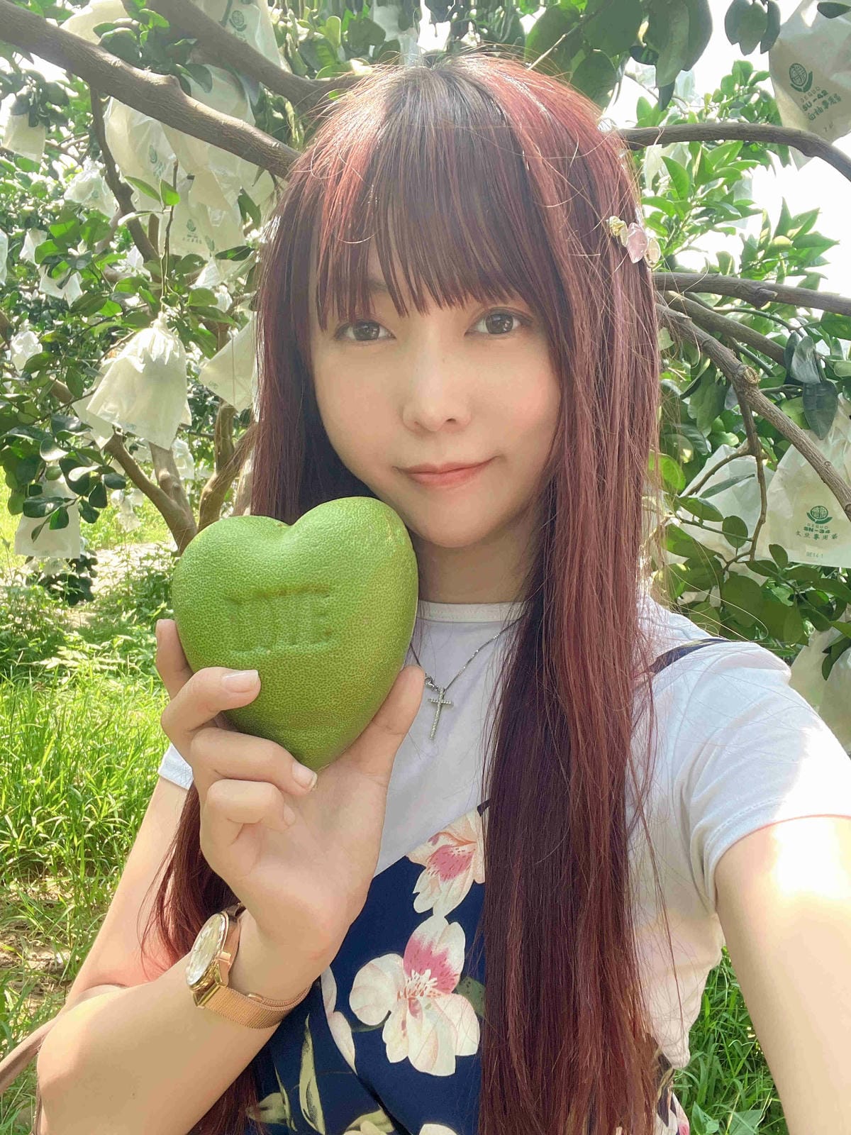 111年期間限定採文旦柚一日遊-柚見幸福 (33).jpg 111年期間限定採文旦柚一日遊-柚見幸福 (33).jpg