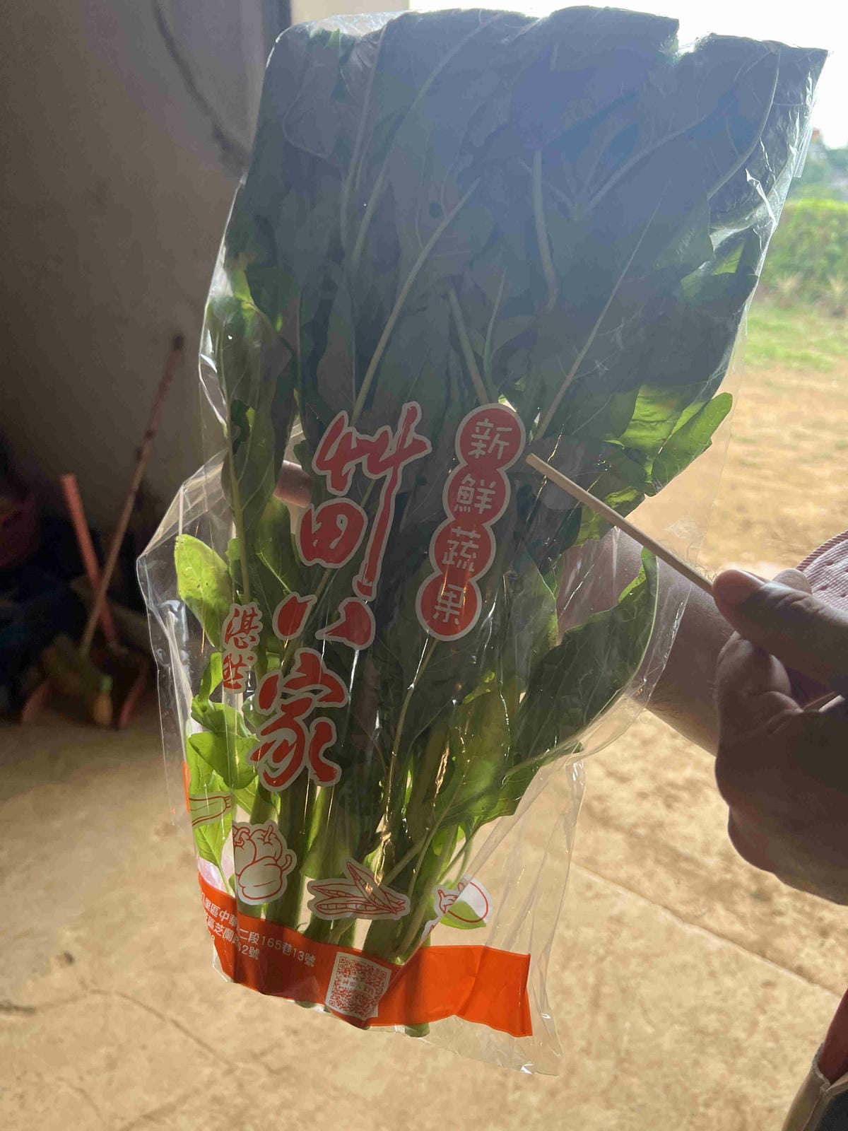 111年期間限定採文旦柚一日遊-柚見幸福 (98).jpg 111年期間限定採文旦柚一日遊-柚見幸福 (98).jpg