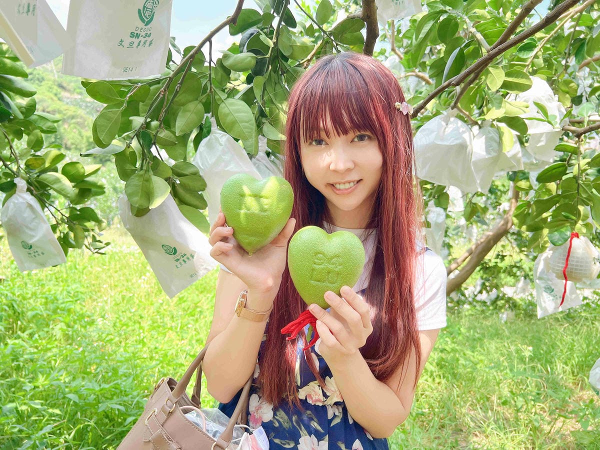 111年期間限定採文旦柚一日遊-柚見幸福 (29).jpg 111年期間限定採文旦柚一日遊-柚見幸福 (29).jpg