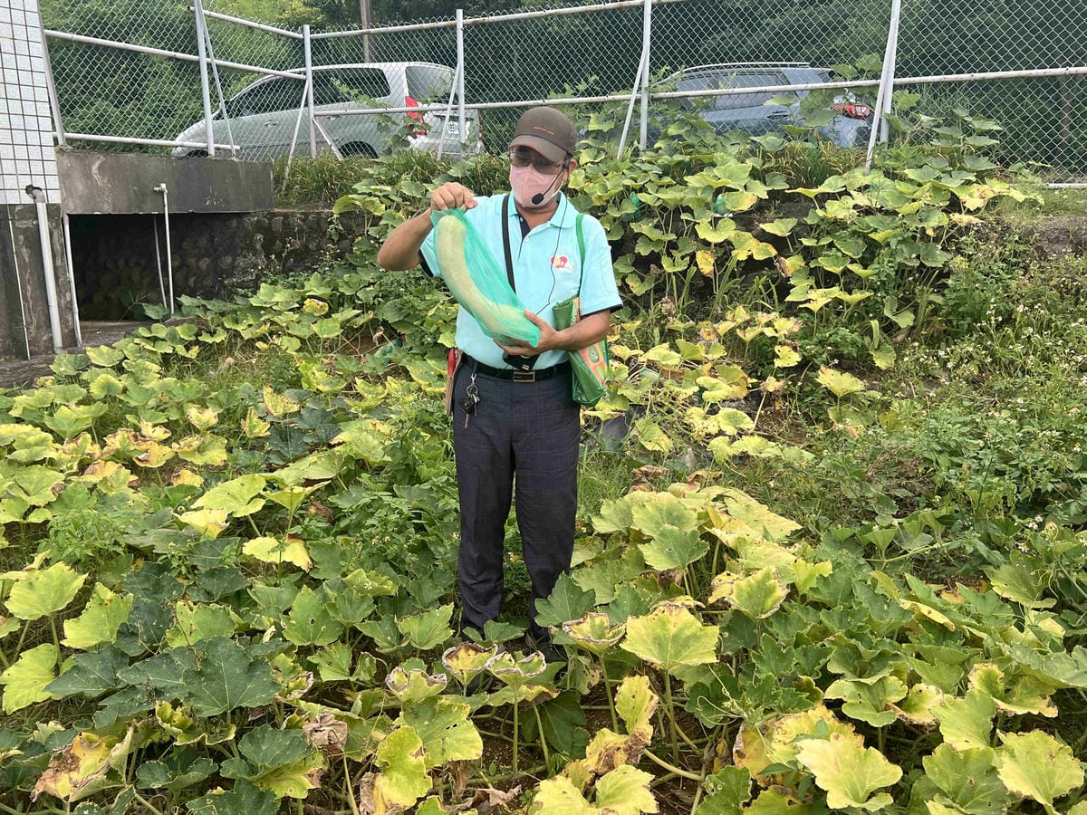 111年期間限定採文旦柚一日遊-柚見幸福 (85).jpg 111年期間限定採文旦柚一日遊-柚見幸福 (85).jpg