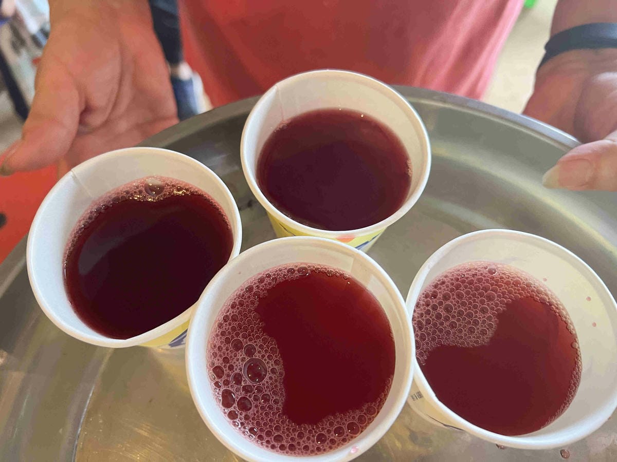 111年期間限定採文旦柚一日遊-柚見幸福 (97).jpg 111年期間限定採文旦柚一日遊-柚見幸福 (97).jpg