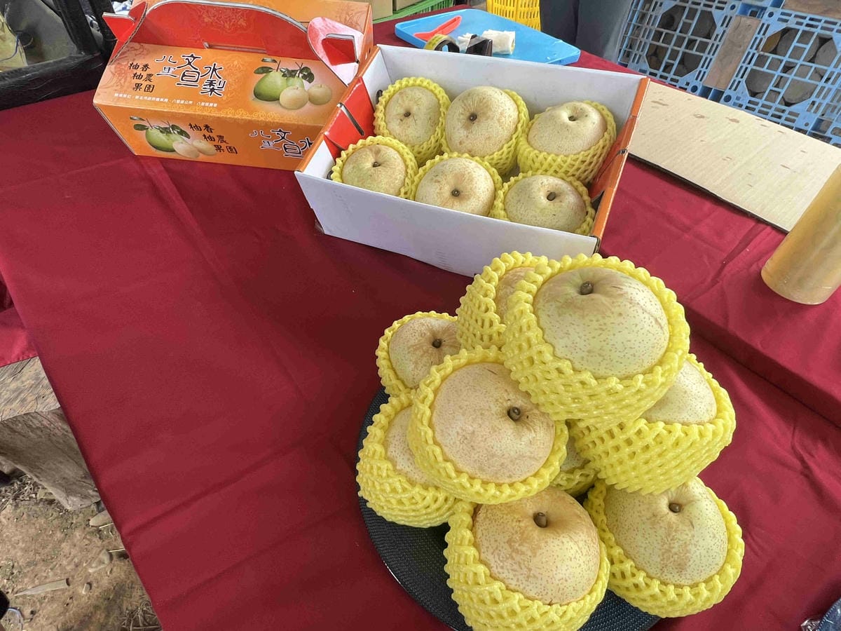 111年期間限定採文旦柚一日遊-柚見幸福 (17).jpg 111年期間限定採文旦柚一日遊-柚見幸福 (17).jpg