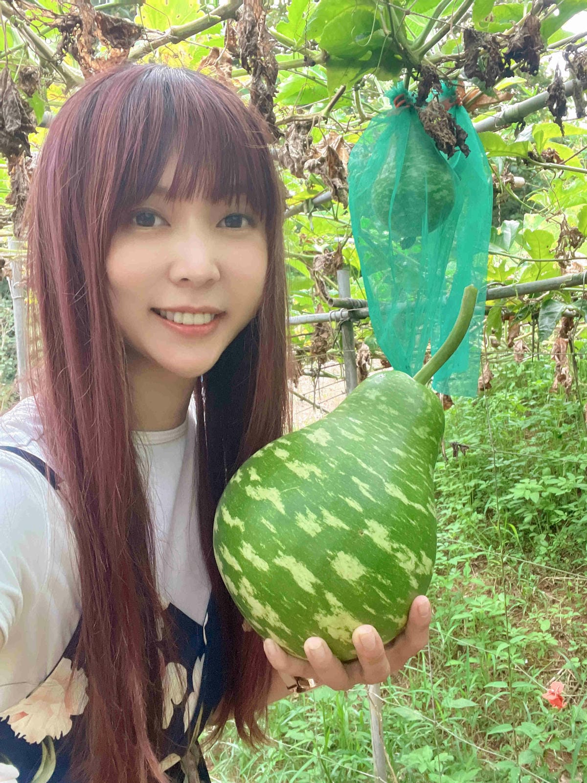 111年期間限定採文旦柚一日遊-柚見幸福 (94).jpg 111年期間限定採文旦柚一日遊-柚見幸福 (94).jpg