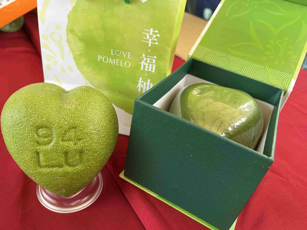 111年期間限定採文旦柚一日遊-柚見幸福 (34).jpg 111年期間限定採文旦柚一日遊-柚見幸福 (34).jpg