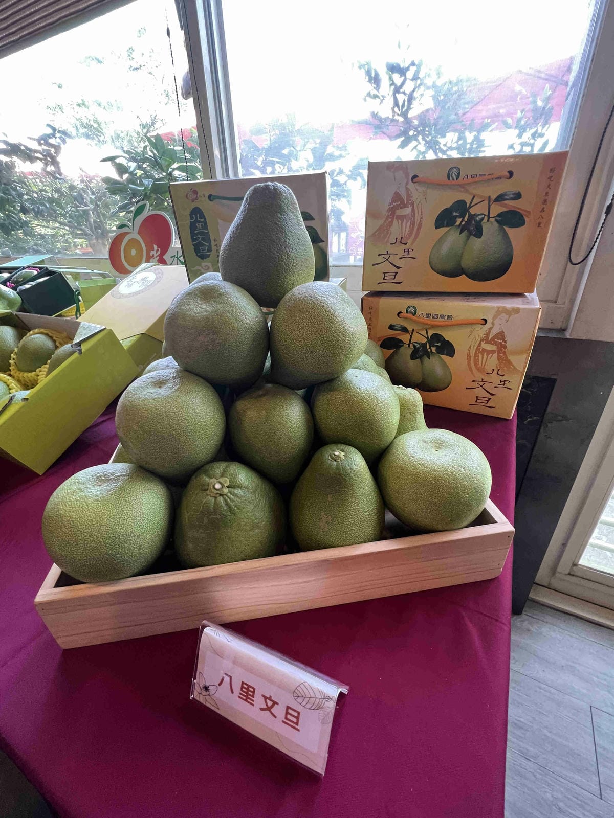 111年期間限定採文旦柚一日遊-柚見幸福 (38).jpg 111年期間限定採文旦柚一日遊-柚見幸福 (38).jpg