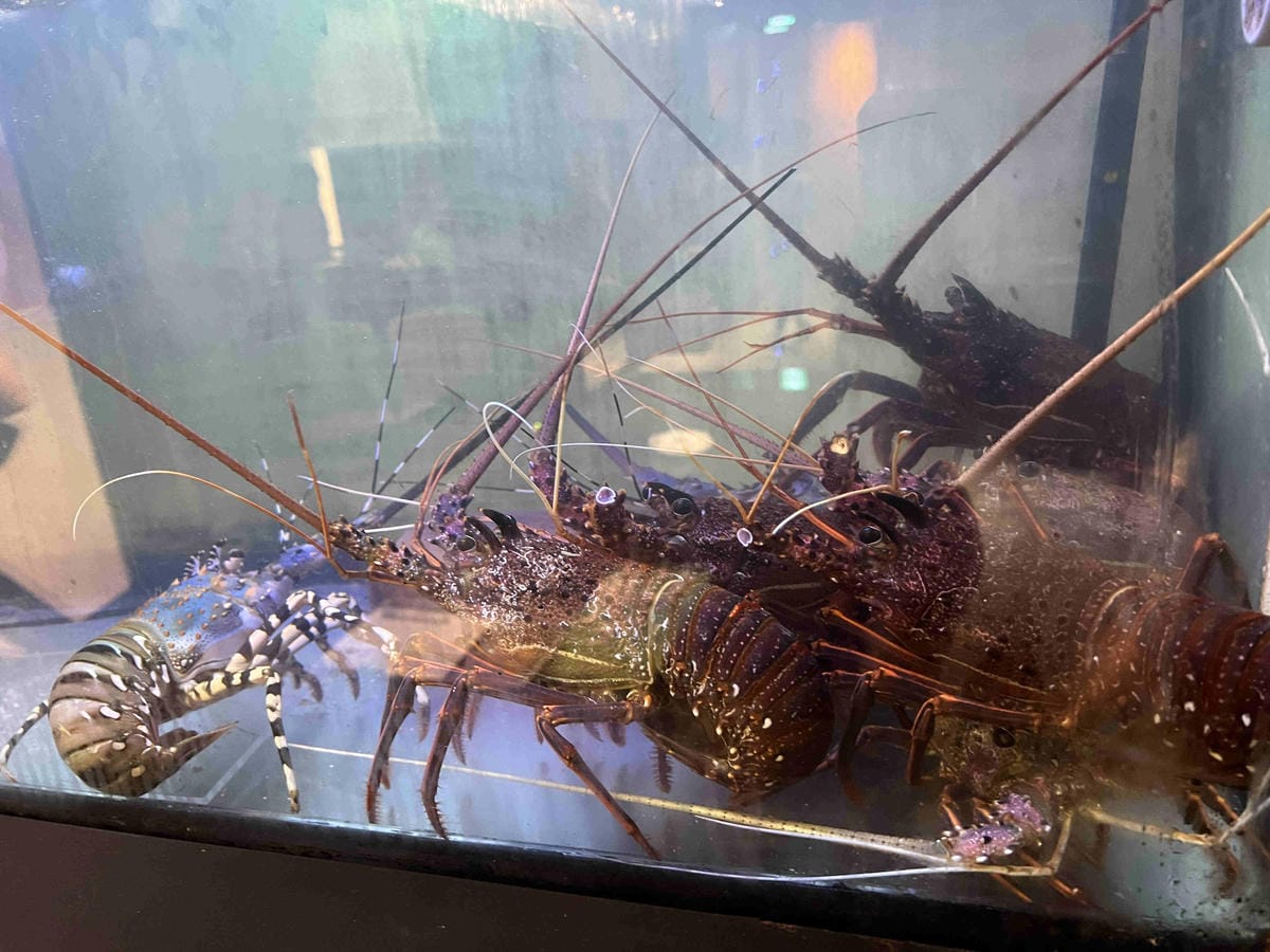 IMG_7952_副本.jpg IMG_7952_副本.jpg