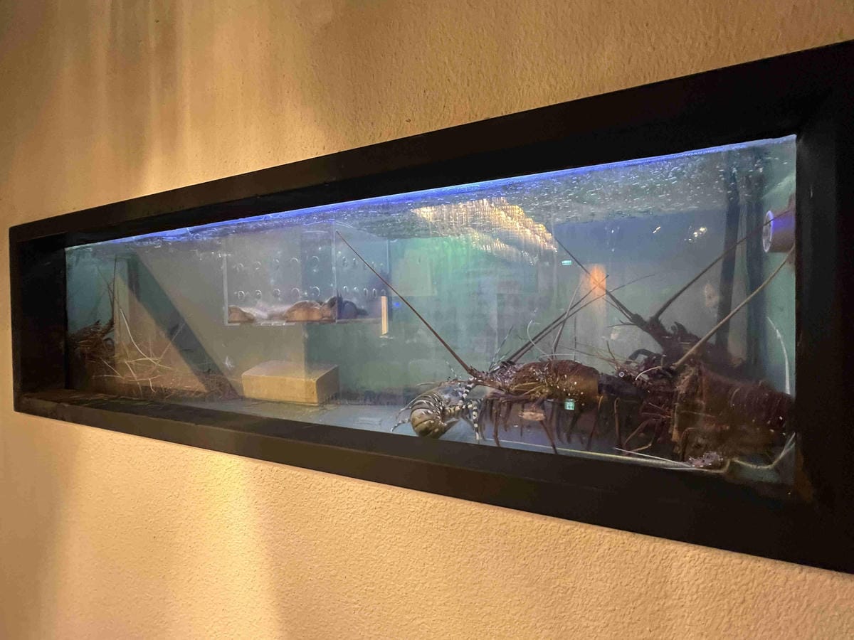 IMG_7953_副本.jpg IMG_7953_副本.jpg