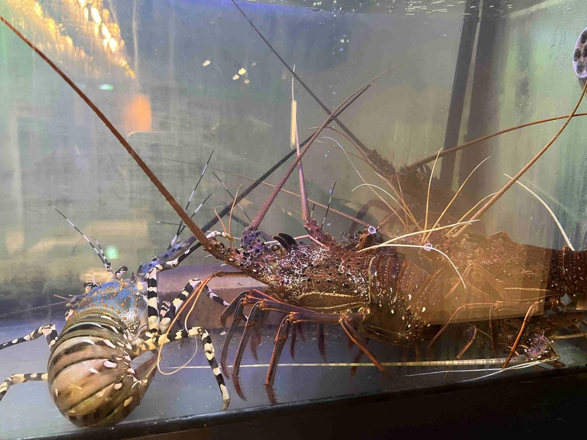 IMG_7951_副本.jpg IMG_7951_副本.jpg