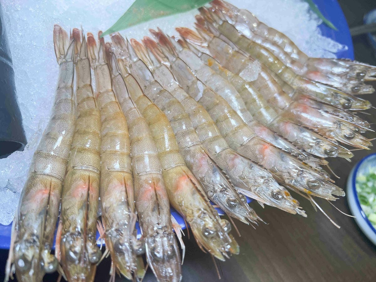 肉多多重慶店 (85).jpg 肉多多重慶店 (85).jpg