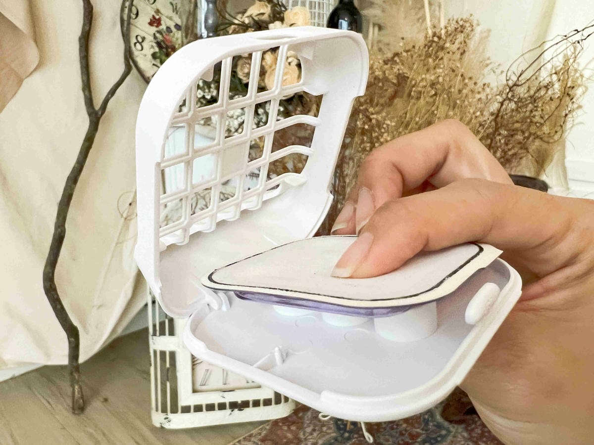 ST雞仔牌 (13).jpg ST雞仔牌 (13).jpg