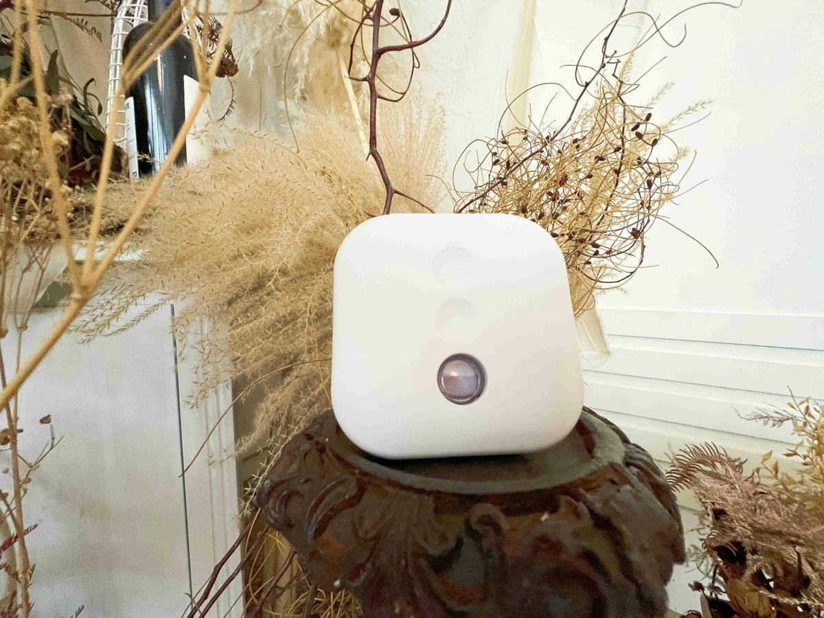 ST雞仔牌 (14).jpg ST雞仔牌 (14).jpg