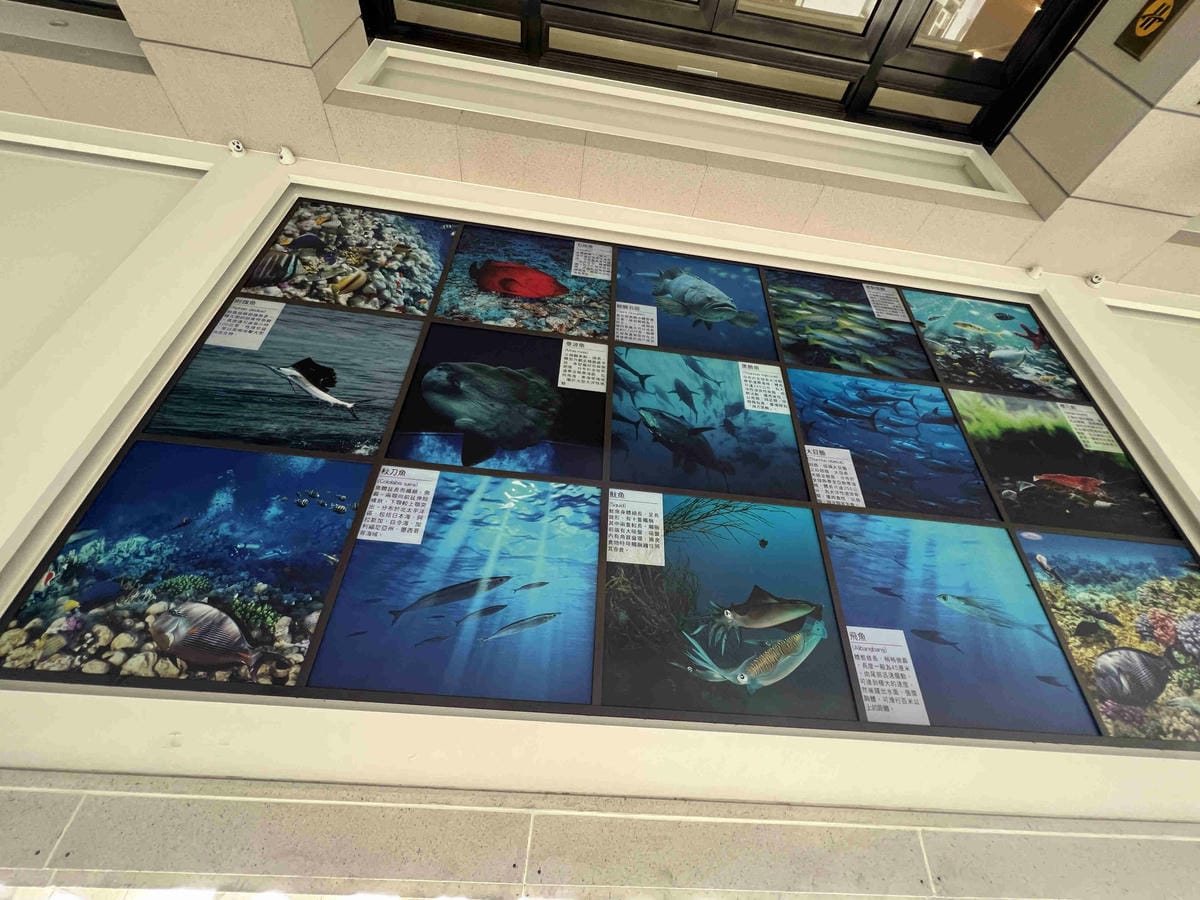 鮪魚飯店高雄館 (6).jpg 鮪魚飯店高雄館 (6).jpg