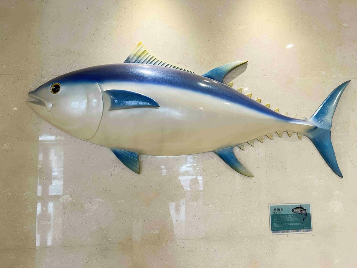 鮪魚飯店高雄館 (13).jpg 鮪魚飯店高雄館 (13).jpg