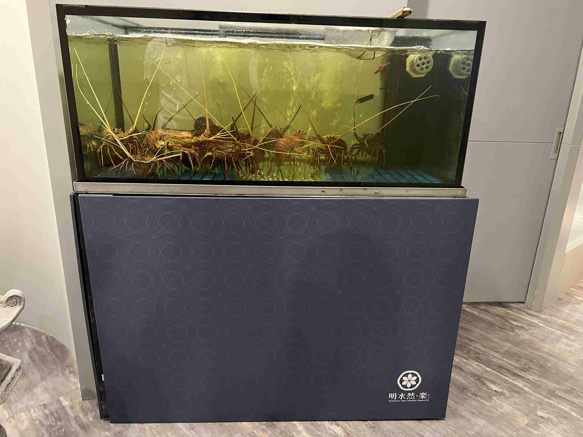 明水然樂林森 (10).jpg 明水然樂林森 (10).jpg