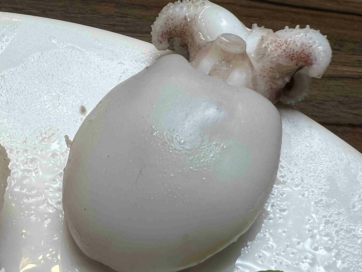 肉多多竹北光明店 (59).jpg 肉多多竹北光明店 (59).jpg