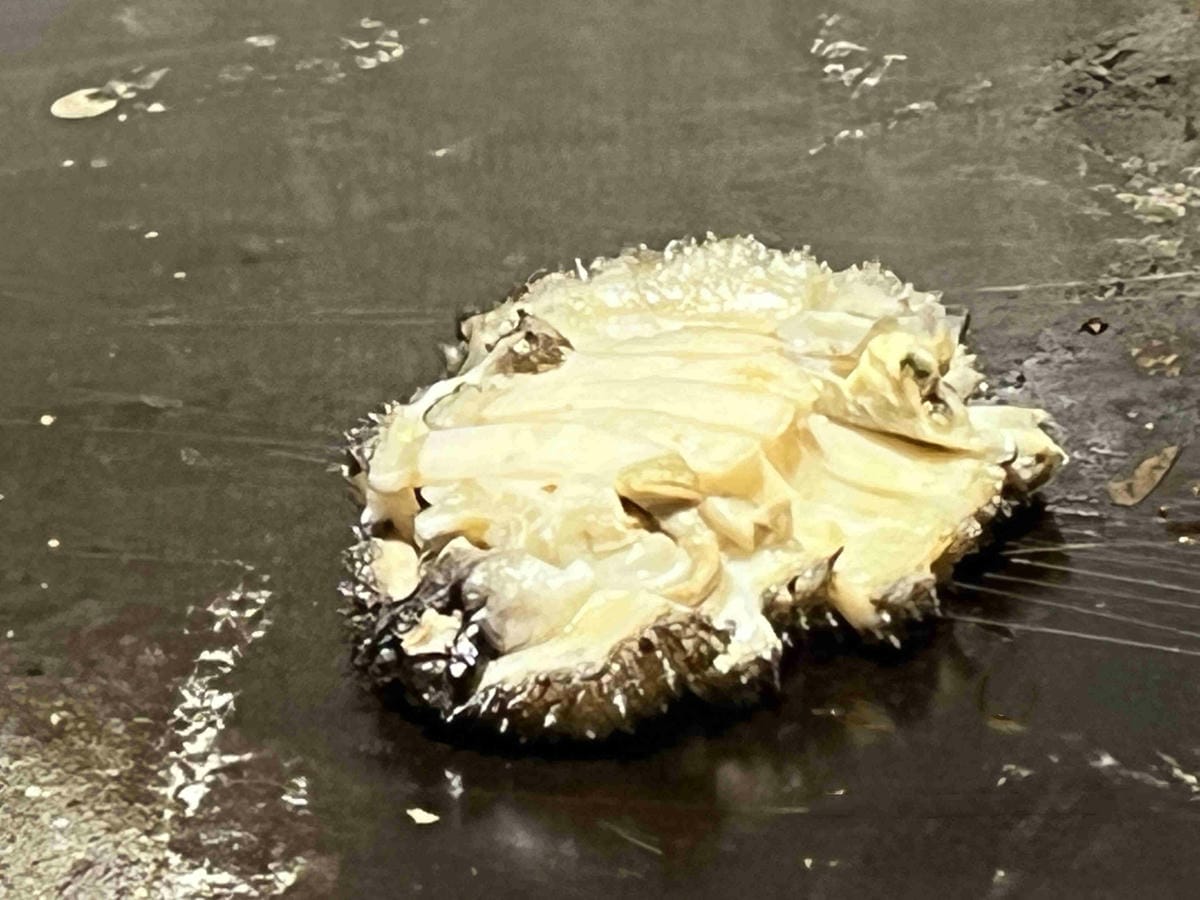 明水然樂林森 (79).jpg 明水然樂林森 (79).jpg