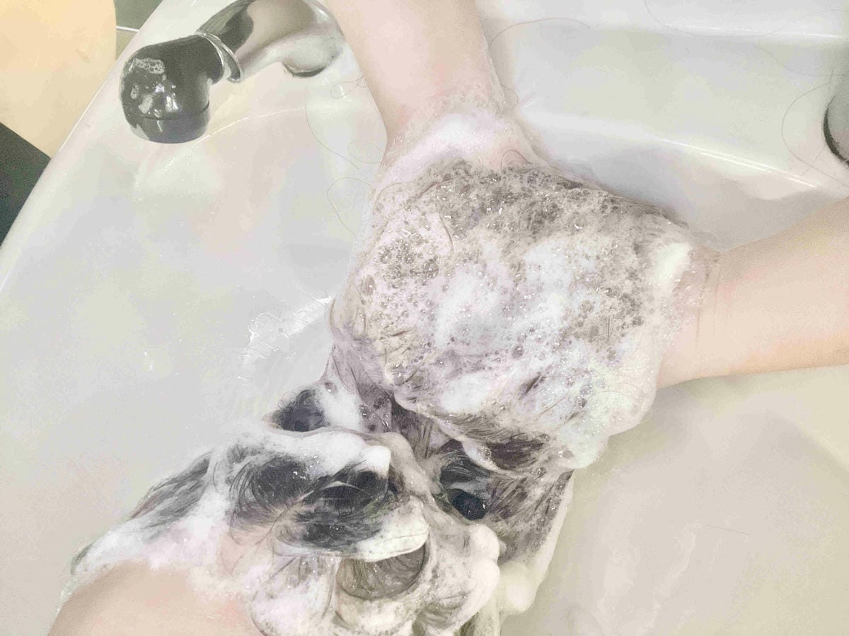 AMIDA髮妝品 (41).jpg AMIDA髮妝品 (41).jpg