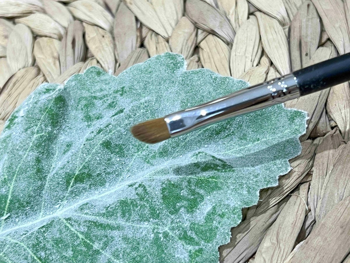 LSY林三益上揚眼迷人3刷 (6).jpg LSY林三益上揚眼迷人3刷 (6).jpg