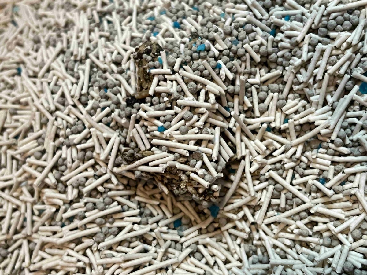 妮可露貓砂 (34).jpg 妮可露貓砂 (34).jpg