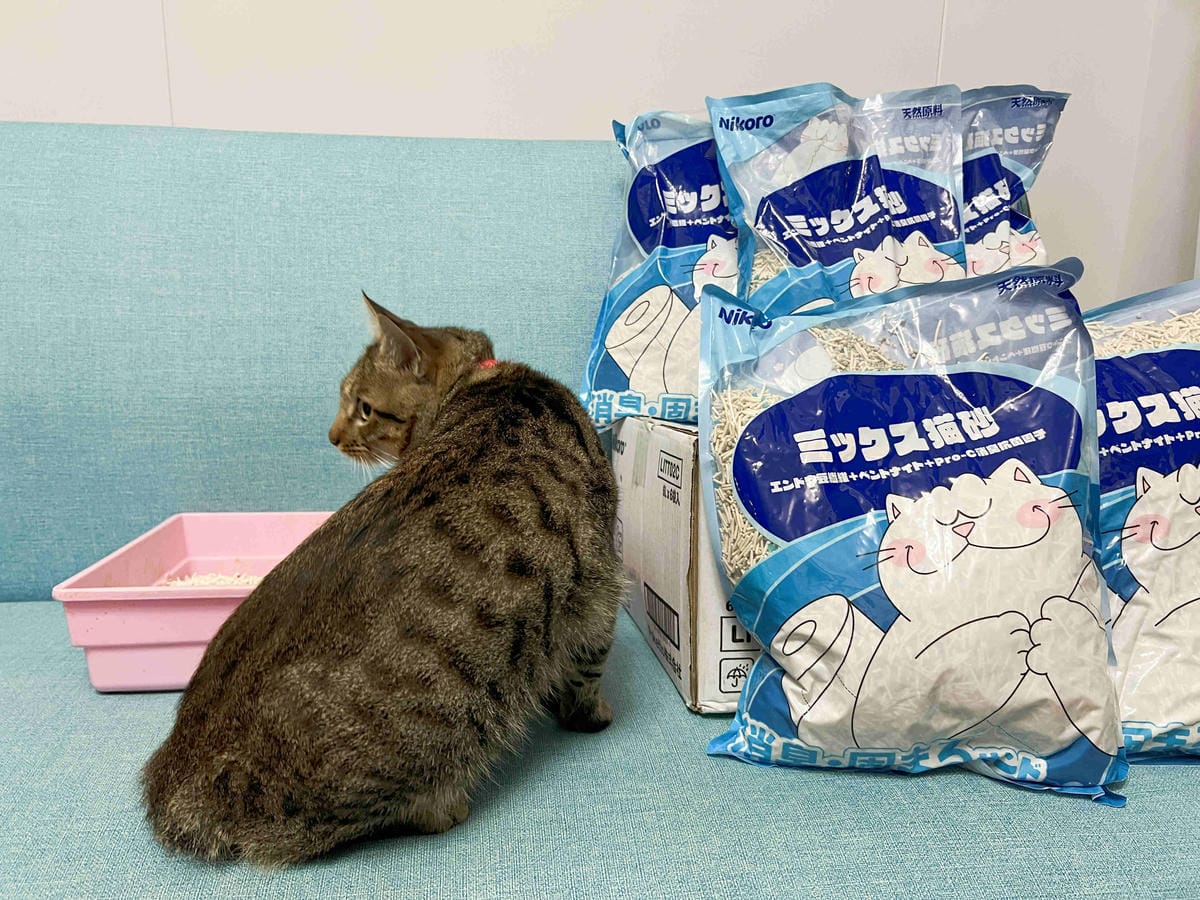 妮可露貓砂 (17).jpg 妮可露貓砂 (17).jpg