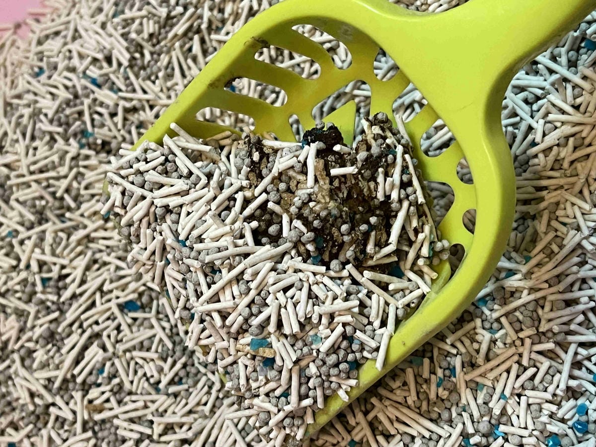 妮可露貓砂 (35).jpg 妮可露貓砂 (35).jpg