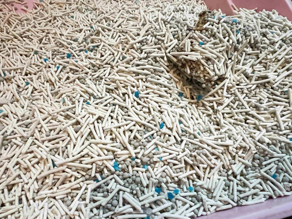 妮可露貓砂 (33).jpg 妮可露貓砂 (33).jpg