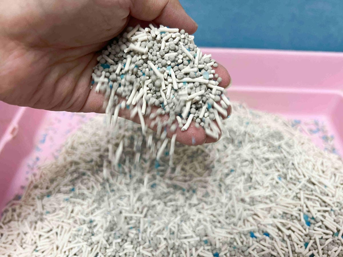 妮可露貓砂 (14).jpg 妮可露貓砂 (14).jpg